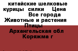 китайские шелковые курицы (силки) › Цена ­ 2 500 - Все города Животные и растения » Птицы   . Архангельская обл.,Коряжма г.